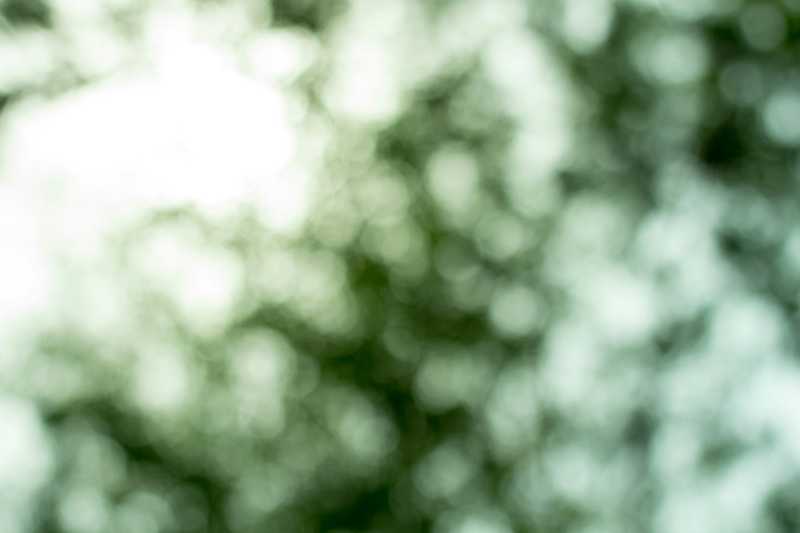 The Art of&nbsp;Connection